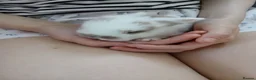 Mini Lop rabbits for sale: Bunnies  - Advert 9