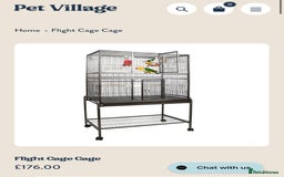 Budgerigars birds for sale: 6 Mixed Colour Male Budgies & Flight Cage - Image 6