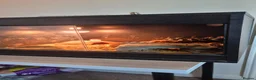 Leopard Gecko reptiles for sale: Leopard Gheko and Terrarium  in Manchester - Advert 3