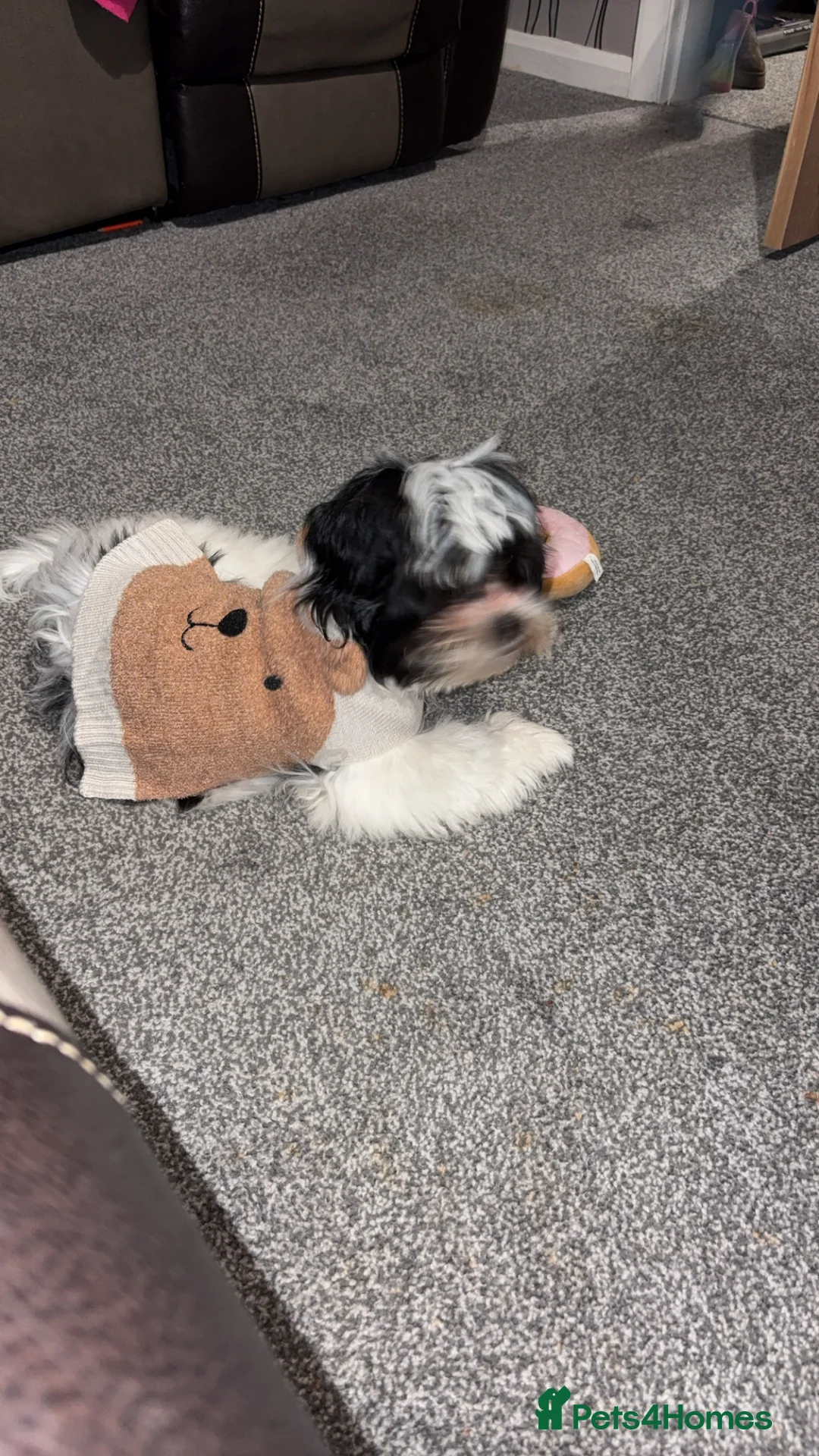 Gallery Image {{count}}