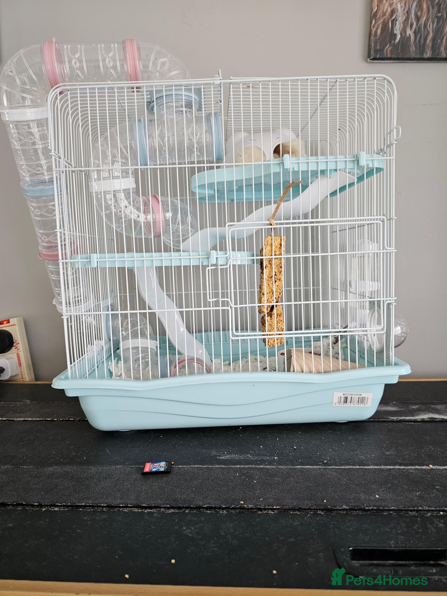 Hamster rodents Female hamster  - Advert 3