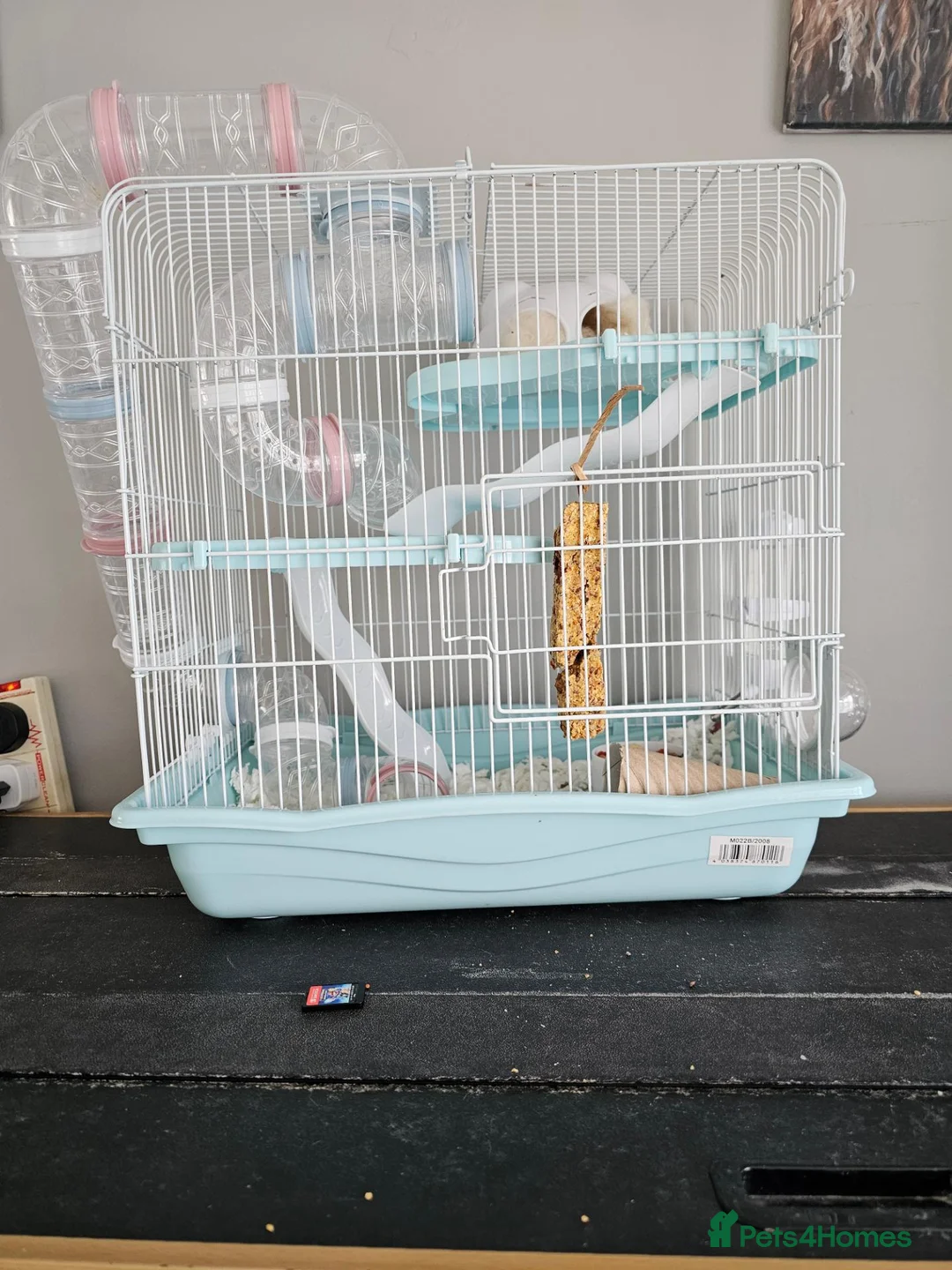 Hamster rodents for sale: Female hamster  - Advert 1