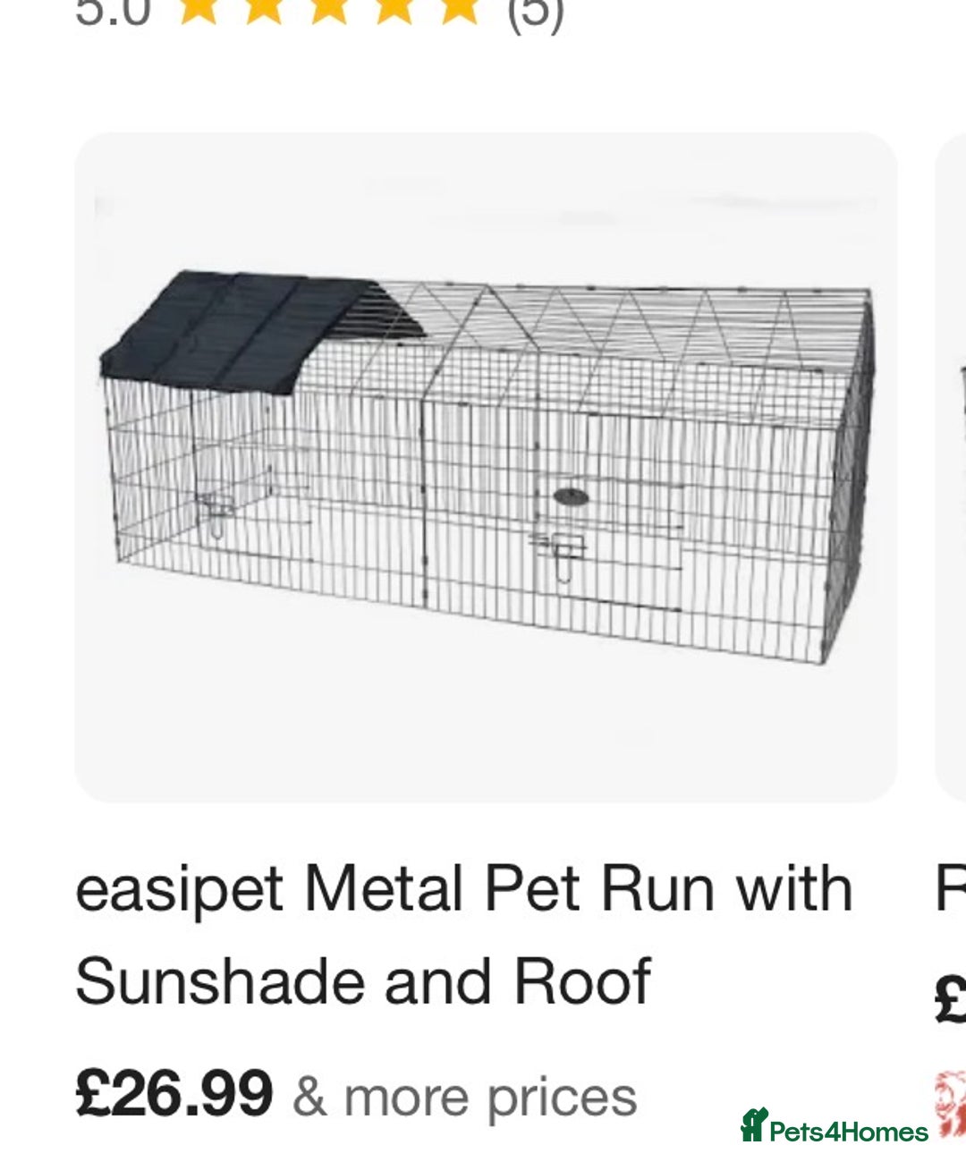 Guinea Pig rodents for sale: 2 guinea pigs hutch and run  - Advert 6