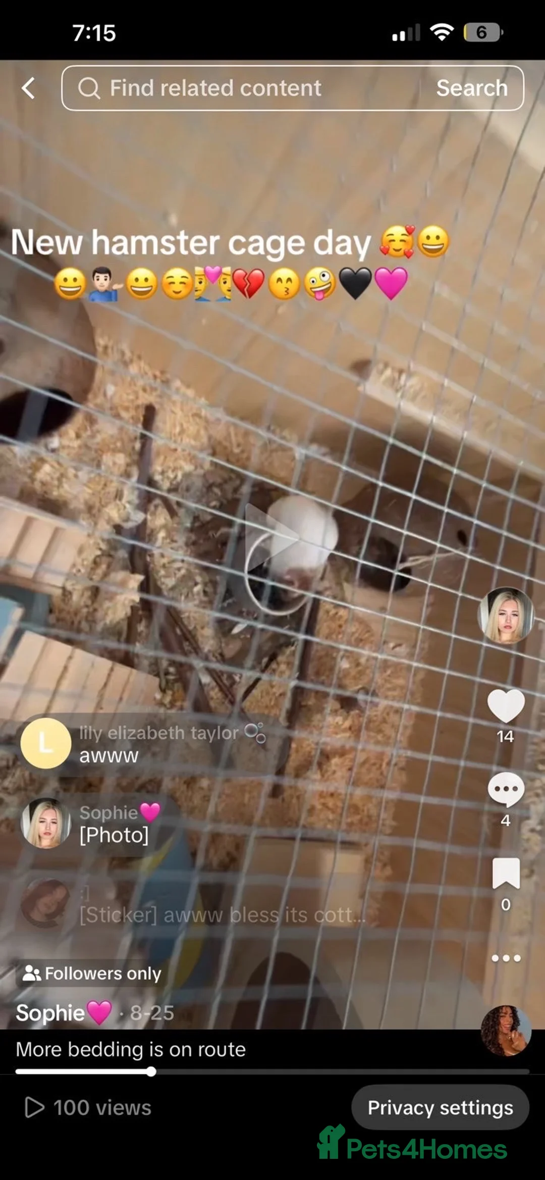 Hamster rodents for sale: Syrian hamster and set up - Advert 2