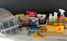 Toy Poodle dogs for sale: 5 month old toy poodle  - Image 9