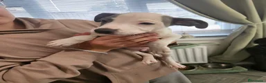 Boy 4 