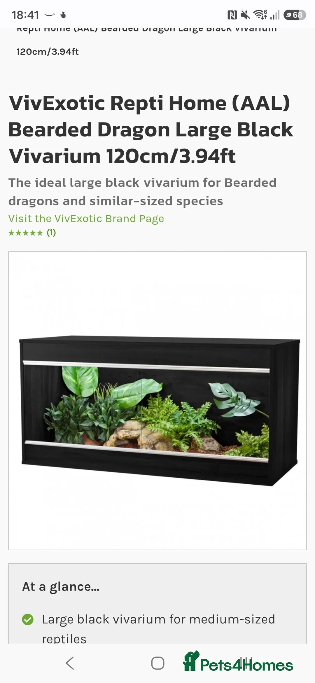 Bearded Dragon reptiles for sale: Orange Bearded Dragon with Complete 4ft Setup in Bolton - Advert 6
