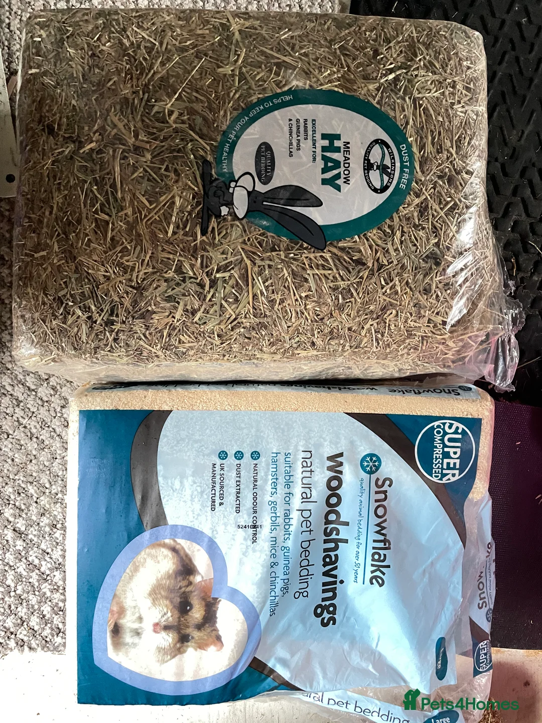 Hamster rodents for sale: Russian Dwarf Hamster for sale - Advert 6