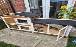 Guinea Pig rodents for sale: female guinea pigs with hutch - Image 1