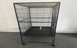Mixed Breed birds for sale: Large bird cage - Image 2