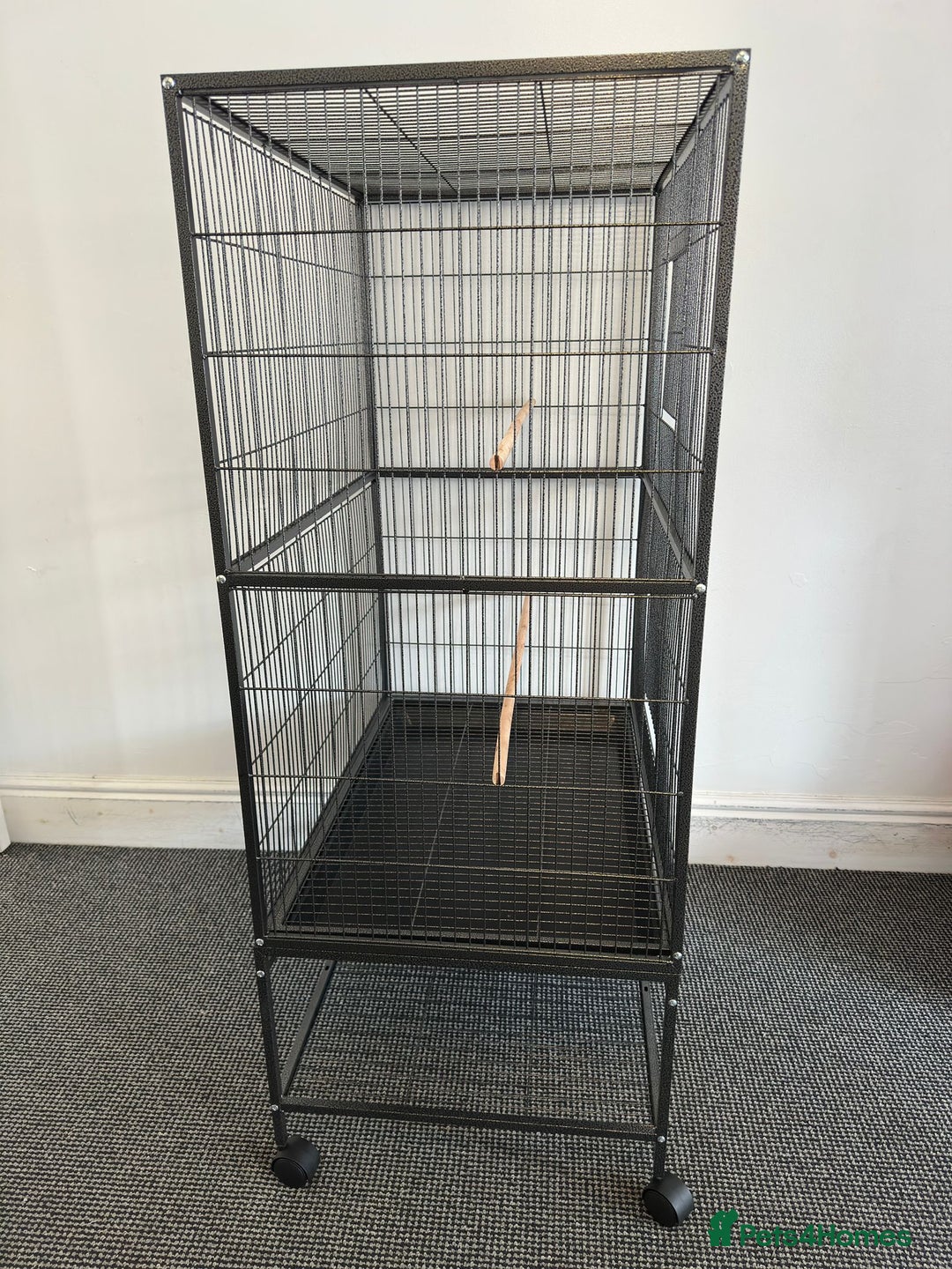 Mixed Breed birds for sale: Large bird cage - Image 2