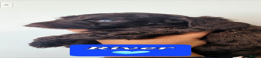 River (dark blue) 