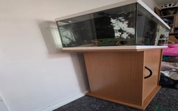 Axolotl reptiles for sale: Axolotl with tank etc - Image 5