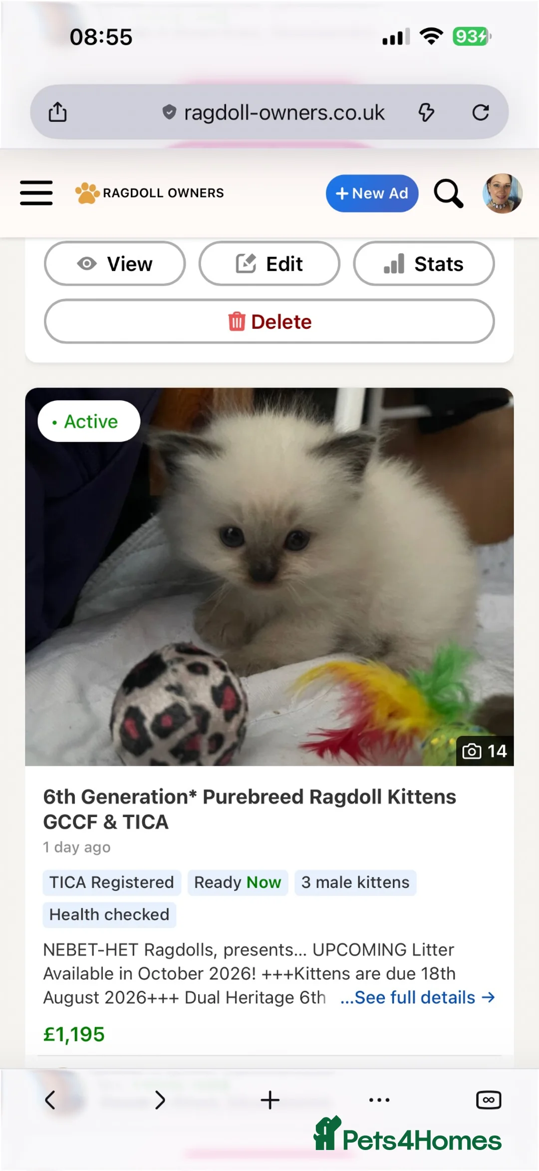 Ragdoll cats for sale: 6th Generation*Pedigree Ragdoll Kittens GCCF&TICA - Advert 2