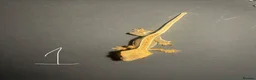 Gecko reptiles for sale: 3 stunning crested geckos from 3 months old in Nottingham - Advert 3