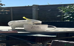 Cockatoo birds for sale: Wonderful Recco the cockatoo aged 6 yrs  - Image 1