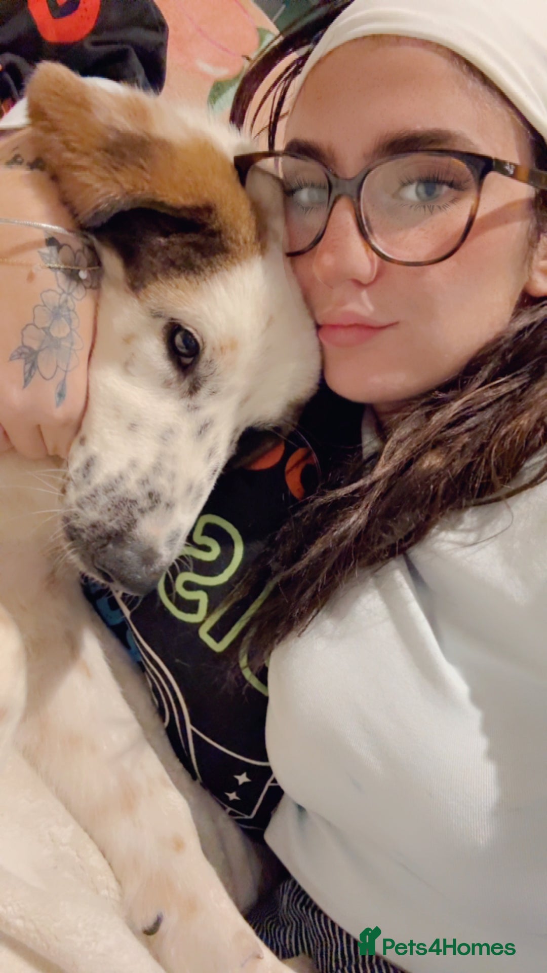 Mixed Breed dogs for sale: Winnie  - Advert 3