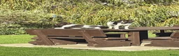 English Springer Spaniel dogs for sale:  KC registered Springer Spaniel Puppy for Sale - Advert 3