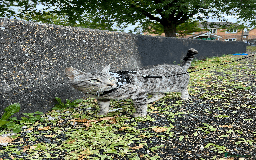 Bengal cats for sale: TICA Silver Bengal for sale - Image 13