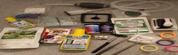 Bettas fish for sale: Betta fish bubbles in London - Advert 4