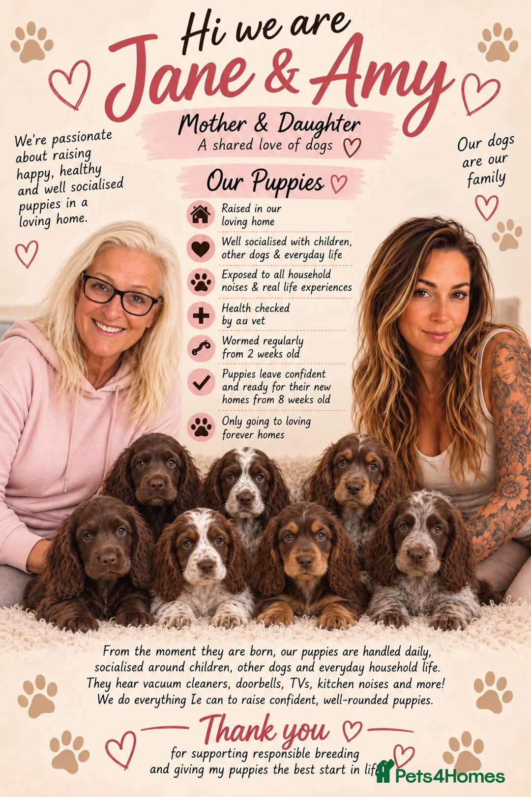 Cockapoo dogs for sale: COCKER SPANIEL WAITING LIST 😍 - Advert 16