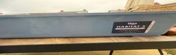 Hamster rodents for sale: Male baby hamster - rare mink brown - Advert 5