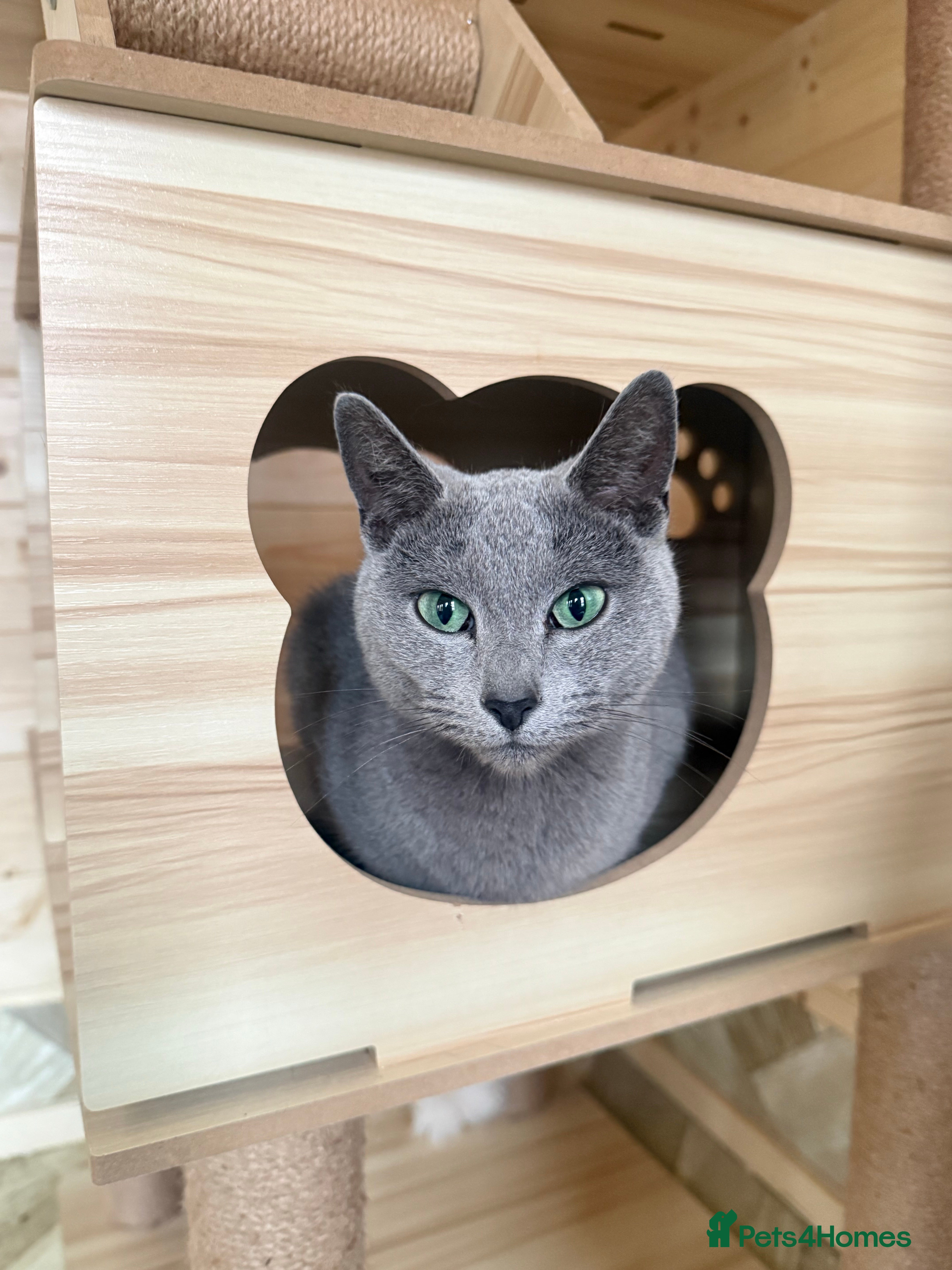 Luna