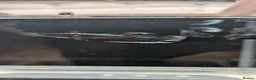 Bettas fish for sale: Bettas (Rare) - Advert 8