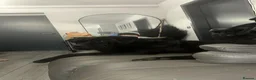 Cane Corso dogs for sale: Cane corso - Advert 2