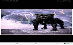 Staffordshire Bull Terrier dogs for sale:  STAFFORDSHIRE BULL TERRIERS PUPS  - Image 18