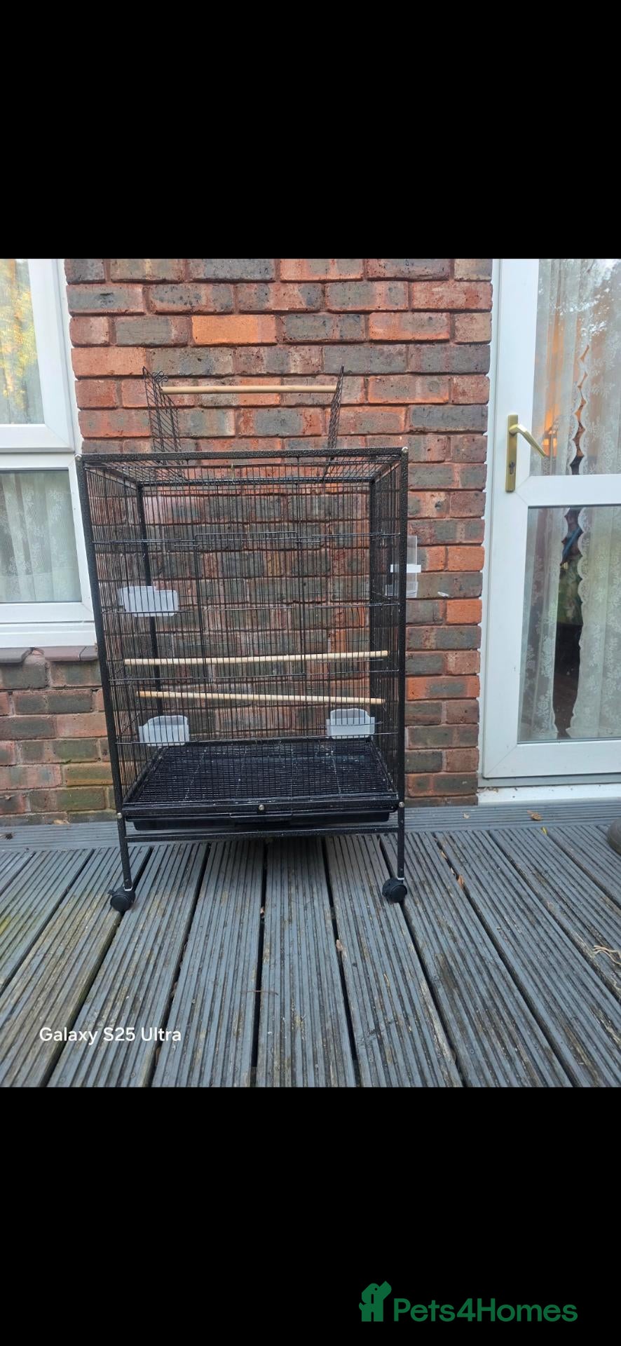Lovebirds birds Lovebird,Cockatiel,Cage-Used(Collection Only) - Advert 3