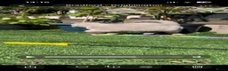British Shorthair cats for sale: Beautiful British shorthair kitties  - Advert 5