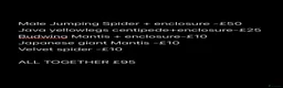 Mixed Breed invertebrates for sale: Mixed Centipede, mantis, and spiders  - Advert 3