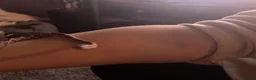 Corn Snake reptiles for sale: Corn snake with vivarium - Advert 7