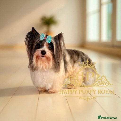 Gallery Image {{count}}