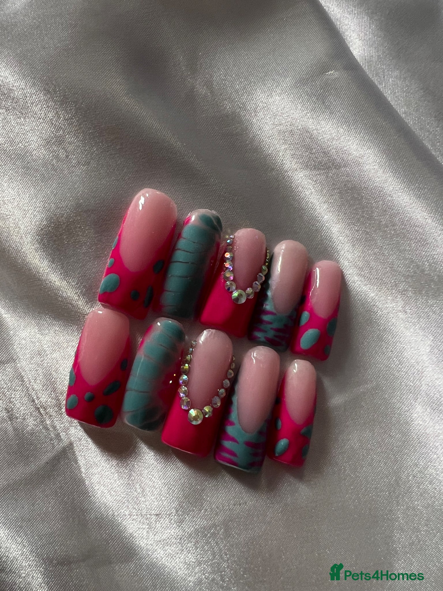 Mixed Breed cats Lkt cff - Advert 11