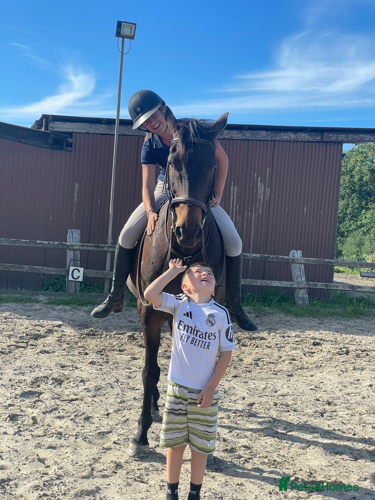English Thoroughbred horses Super ror prospect with moves to die for - Advert 12