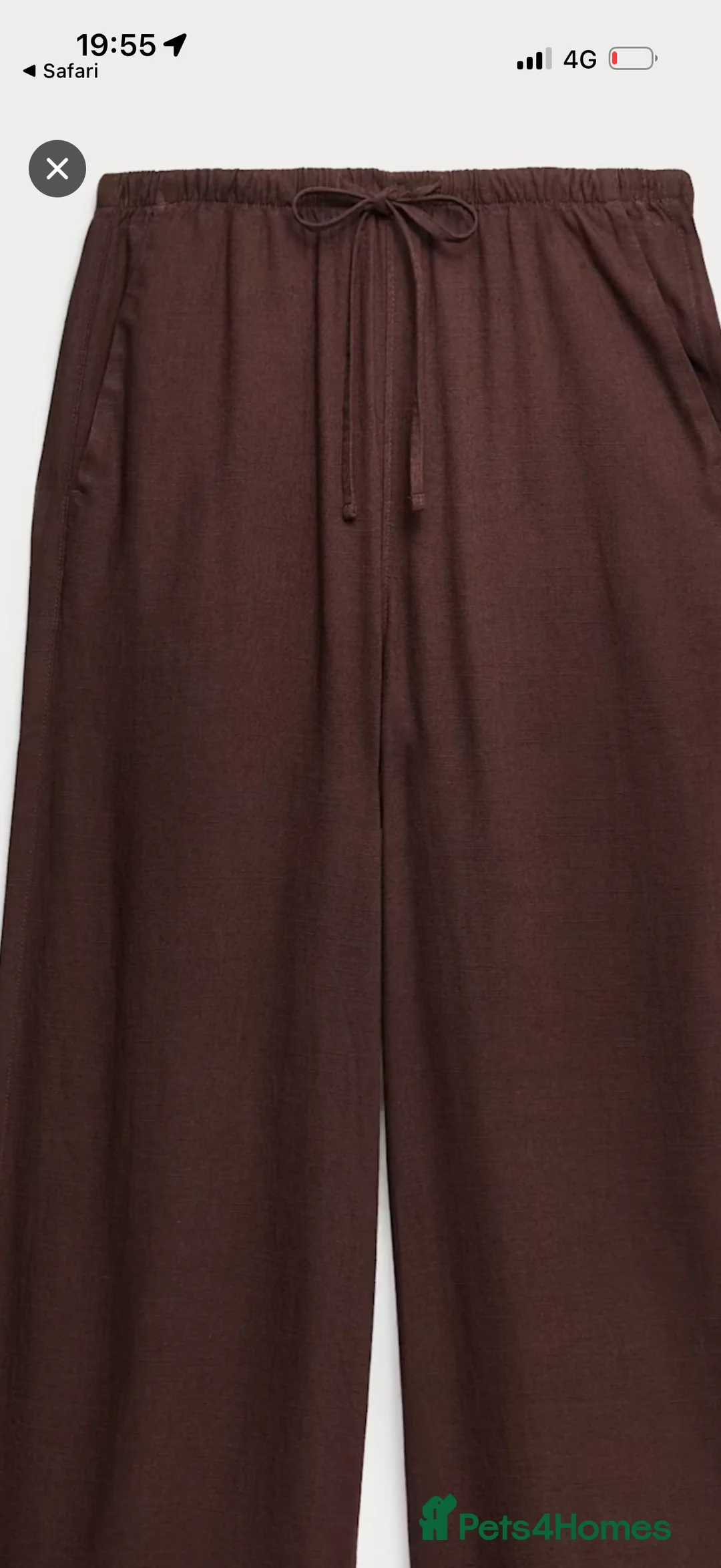 Springador dogs for sale: Mischievous Yellow Labrador puppies in Peterborough - Advert 2