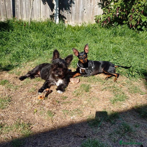 Gallery Image {{count}}