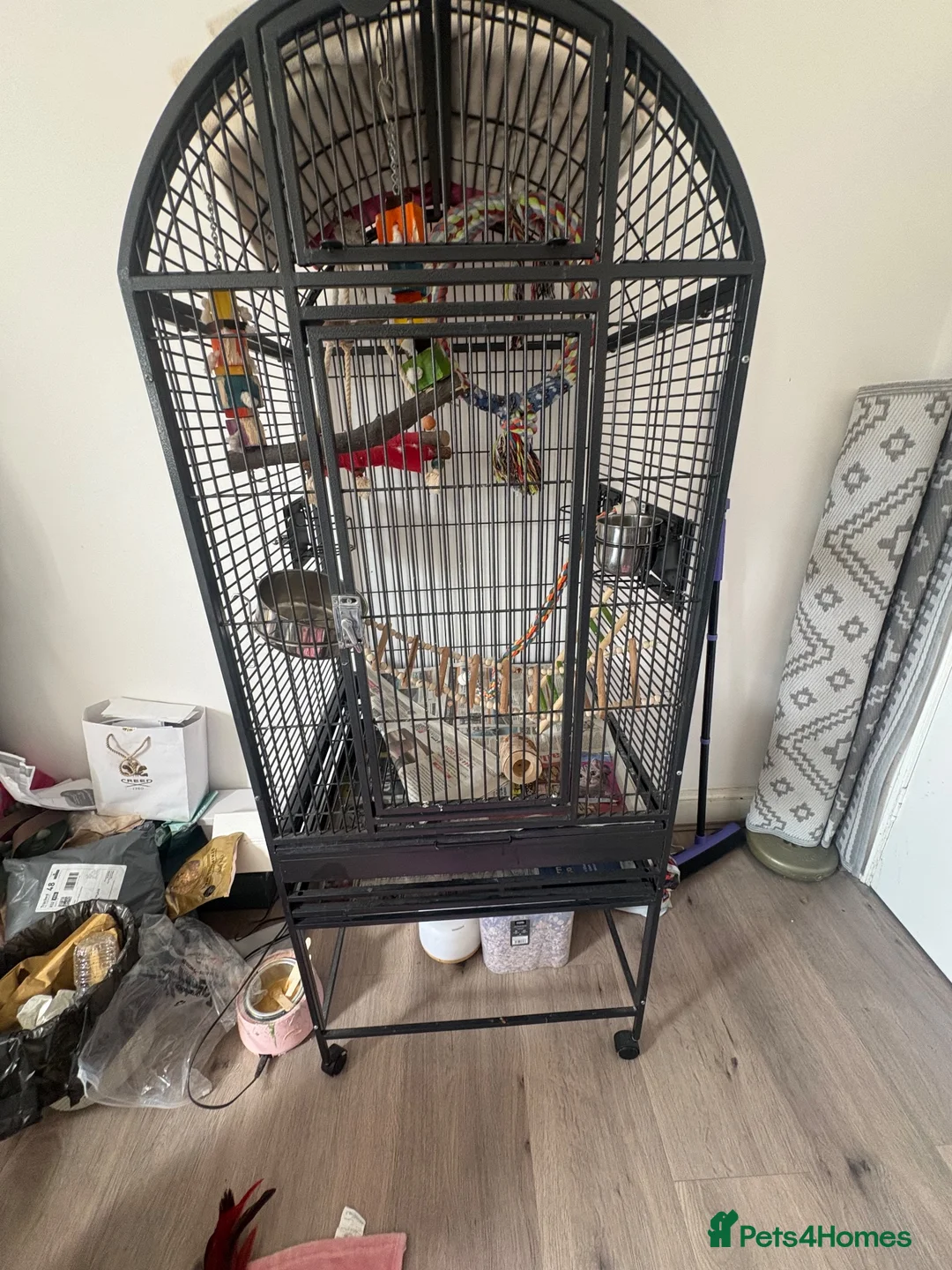 Parrots birds for sale: CAGE FOR SALE ONLY  in London - Advert 2