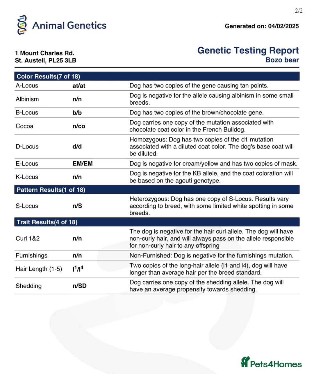French Bulldog dogs for stud: FLUFFY ROPE BLAZE  in Liverpool - Advert 5