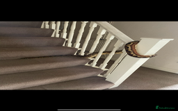 Boa Snake reptiles for sale: Dakota, 6ft female boa constrictor - Advert 4