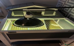 Tortoise reptiles for sale: Horsefield tortoise  - Advert 5