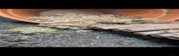 Tortoise reptiles for sale: Baby Horsfield tortoises  - Advert 10