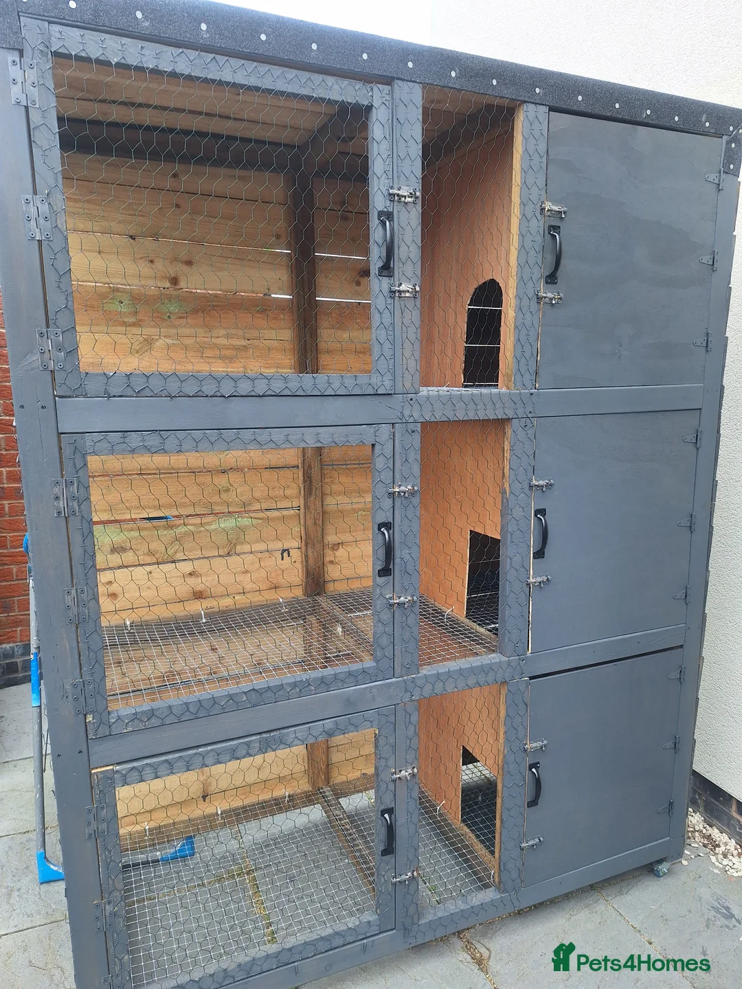 Mixed Breed rabbits for sale: New Zealand cross Californian rabbits Colony - Advert 17