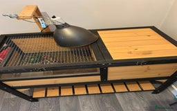 Hermann Tortoise reptiles for sale: Tommy the Tortoise - Advert 2