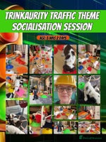 Cocker Spaniel dogs - Advert 12