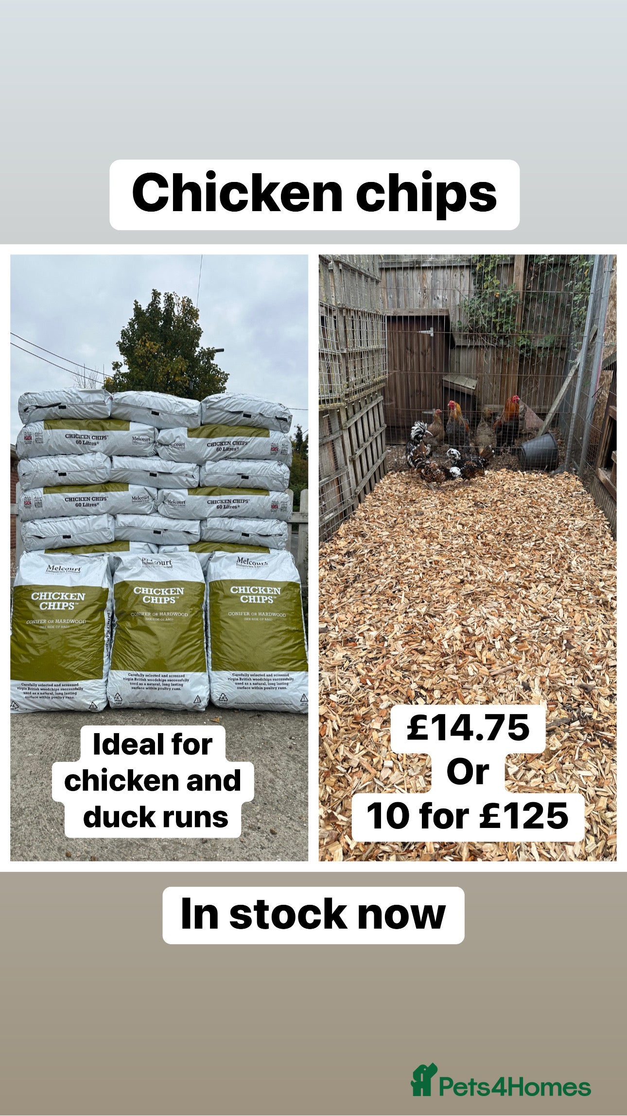 Chickens poultry Chicken chips for poultry runs  - Advert 2