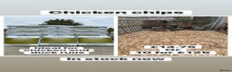 Chickens poultry for sale: Chicken chips for poultry runs  - Advert 1