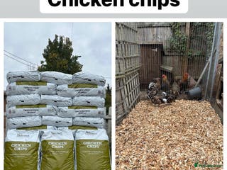 Chickens poultry Chicken chips for poultry runs - Advert 3